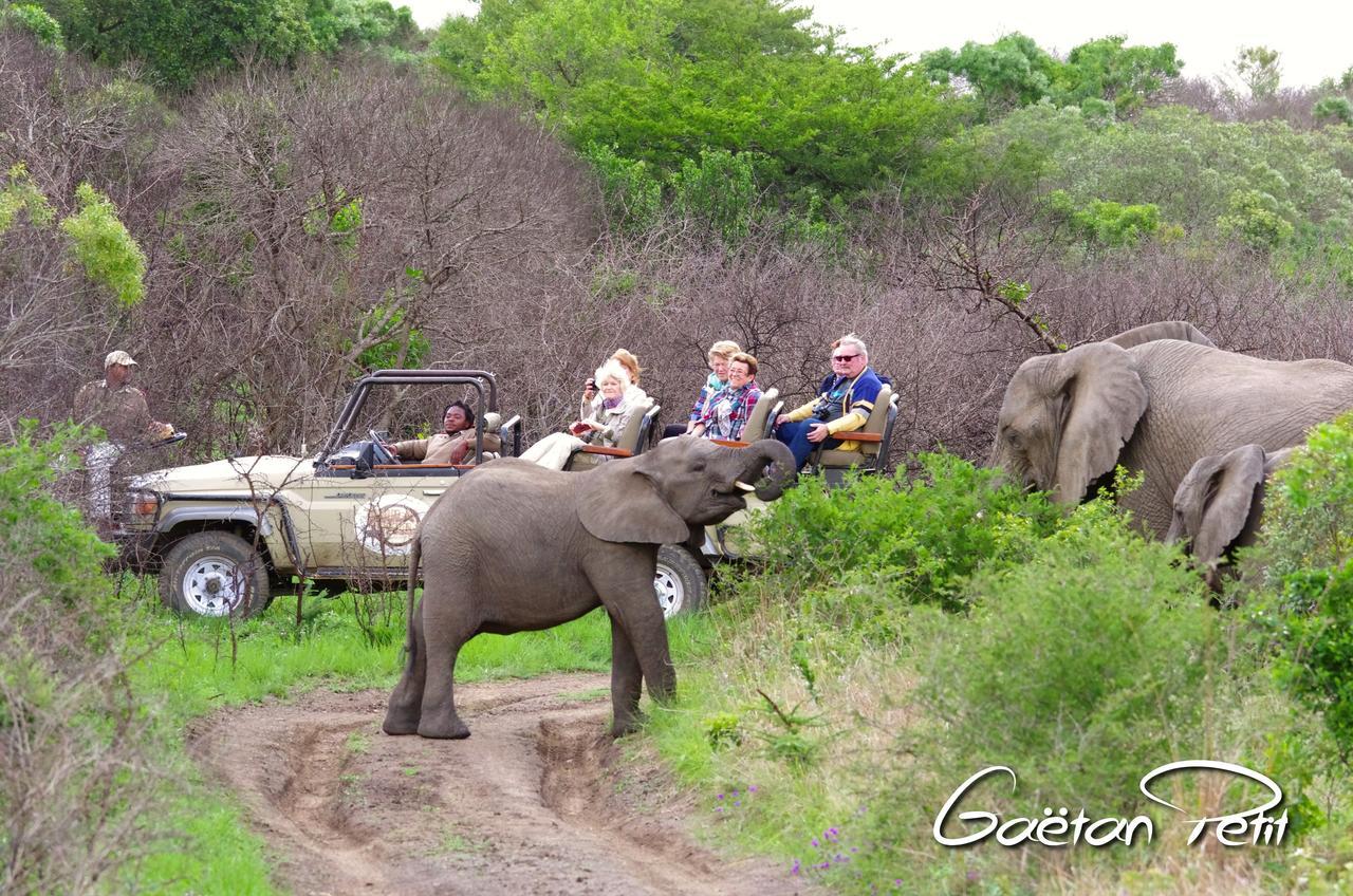 Thula Thula Exclusive Private Game Reserve & Lodge Ntambanana Exteriör bild