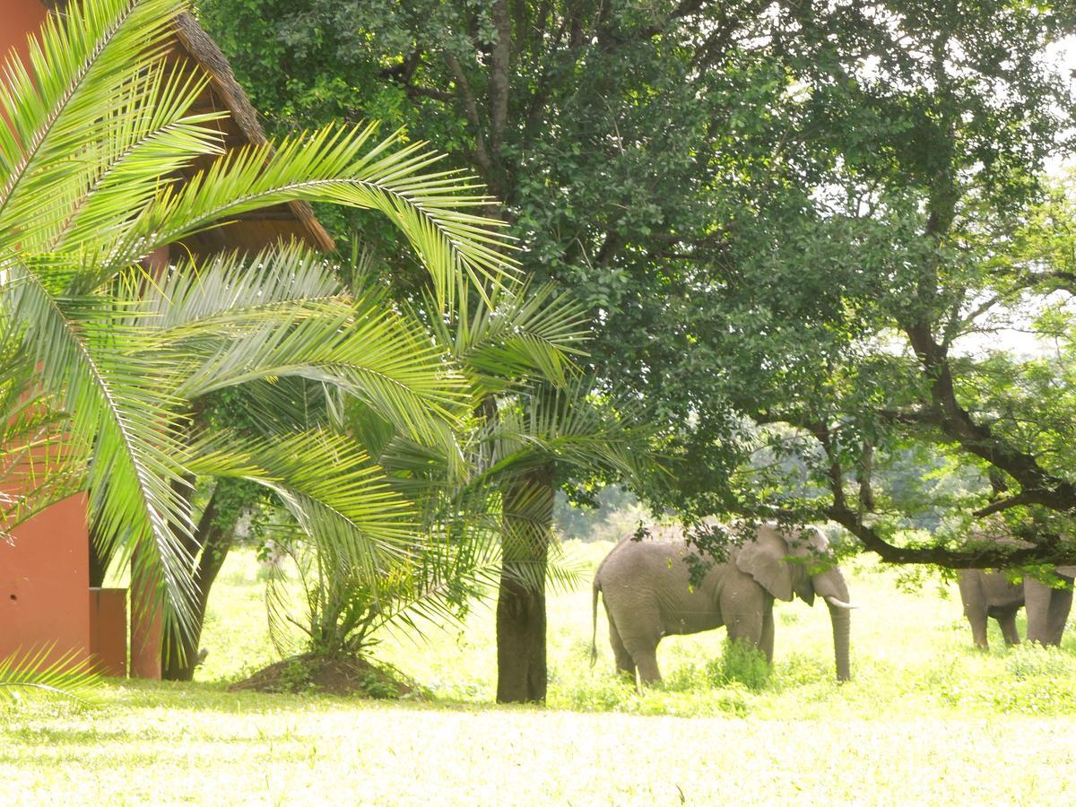 Thula Thula Exclusive Private Game Reserve & Lodge Ntambanana Exteriör bild
