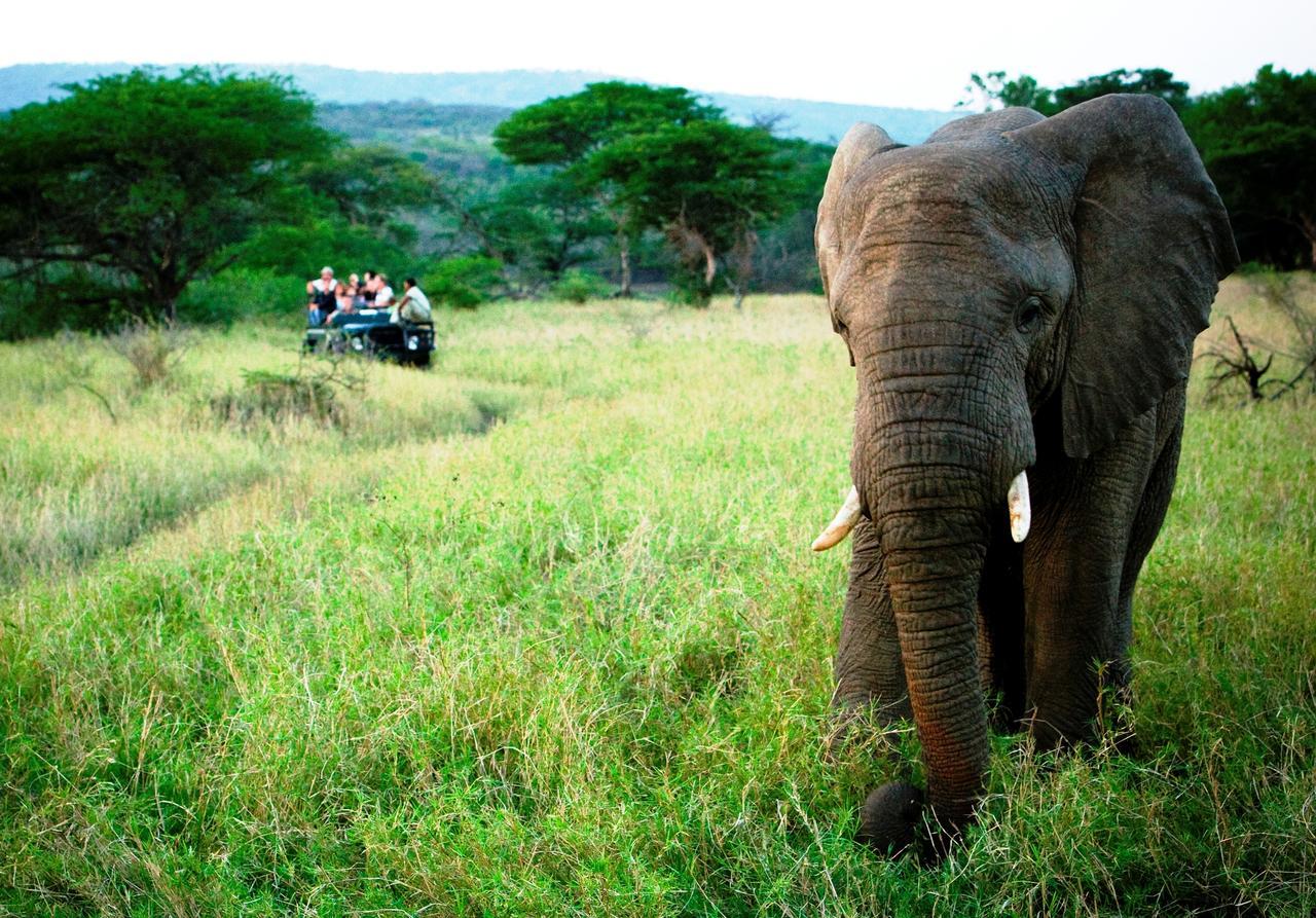 Thula Thula Exclusive Private Game Reserve & Lodge Ntambanana Exteriör bild