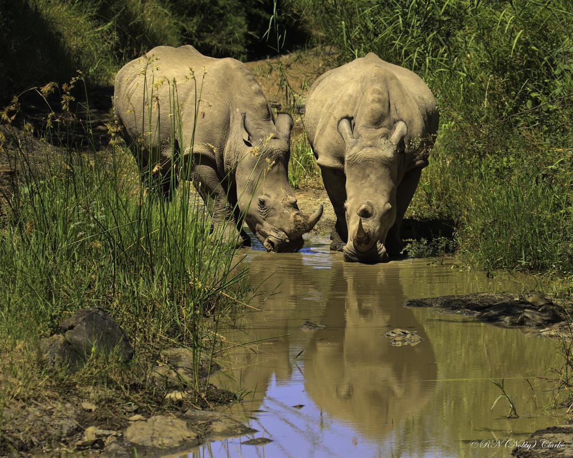 Thula Thula Exclusive Private Game Reserve & Lodge Ntambanana Exteriör bild