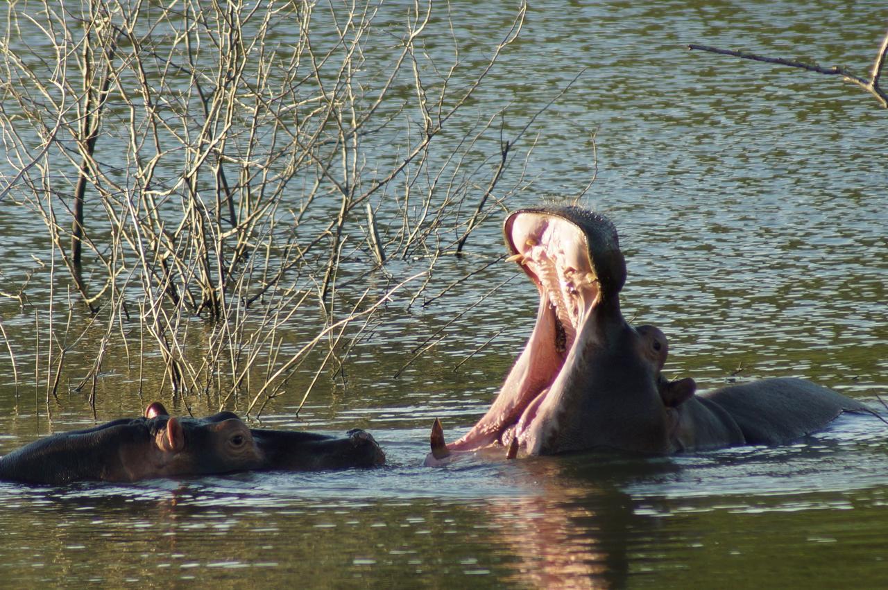 Thula Thula Exclusive Private Game Reserve & Lodge Ntambanana Exteriör bild