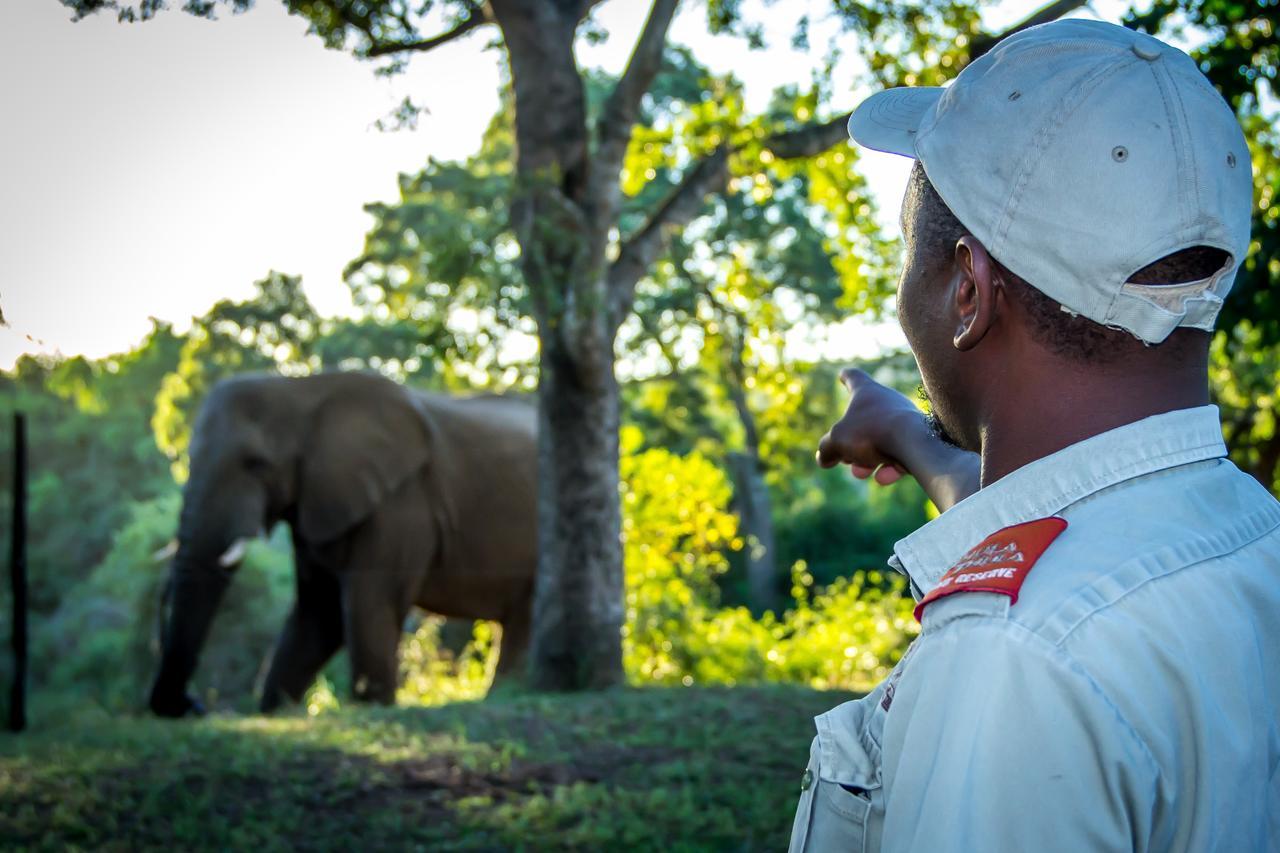 Thula Thula Exclusive Private Game Reserve & Lodge Ntambanana Exteriör bild