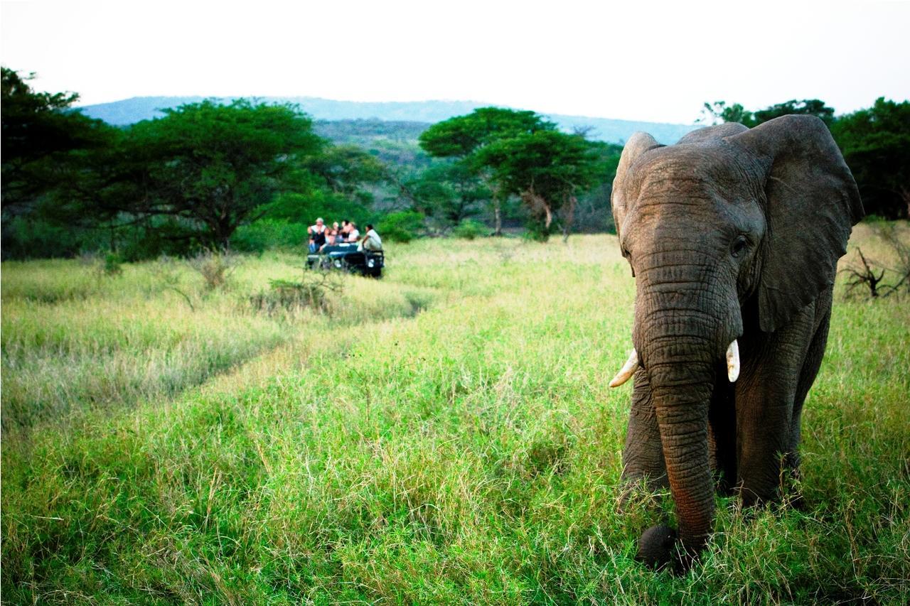 Thula Thula Exclusive Private Game Reserve & Lodge Ntambanana Exteriör bild