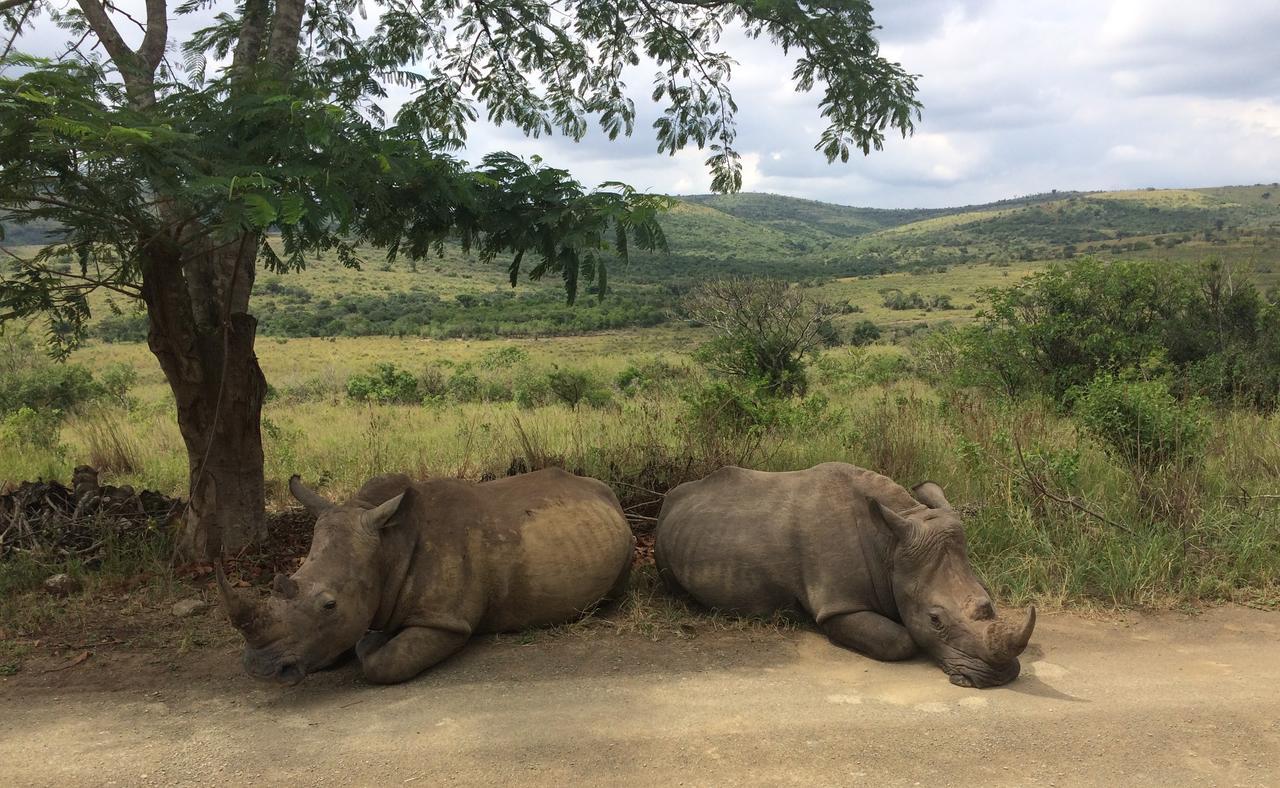 Thula Thula Exclusive Private Game Reserve & Lodge Ntambanana Exteriör bild