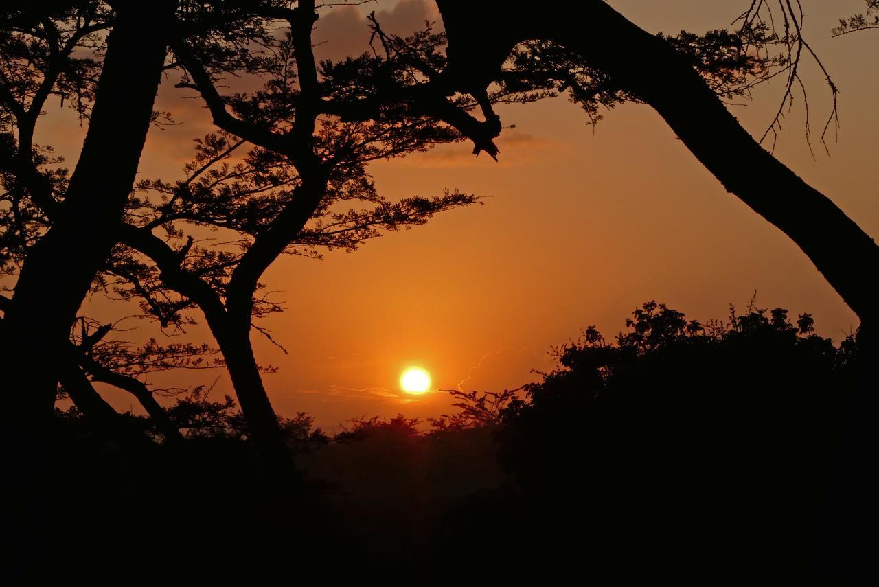 Thula Thula Exclusive Private Game Reserve & Lodge Ntambanana Exteriör bild